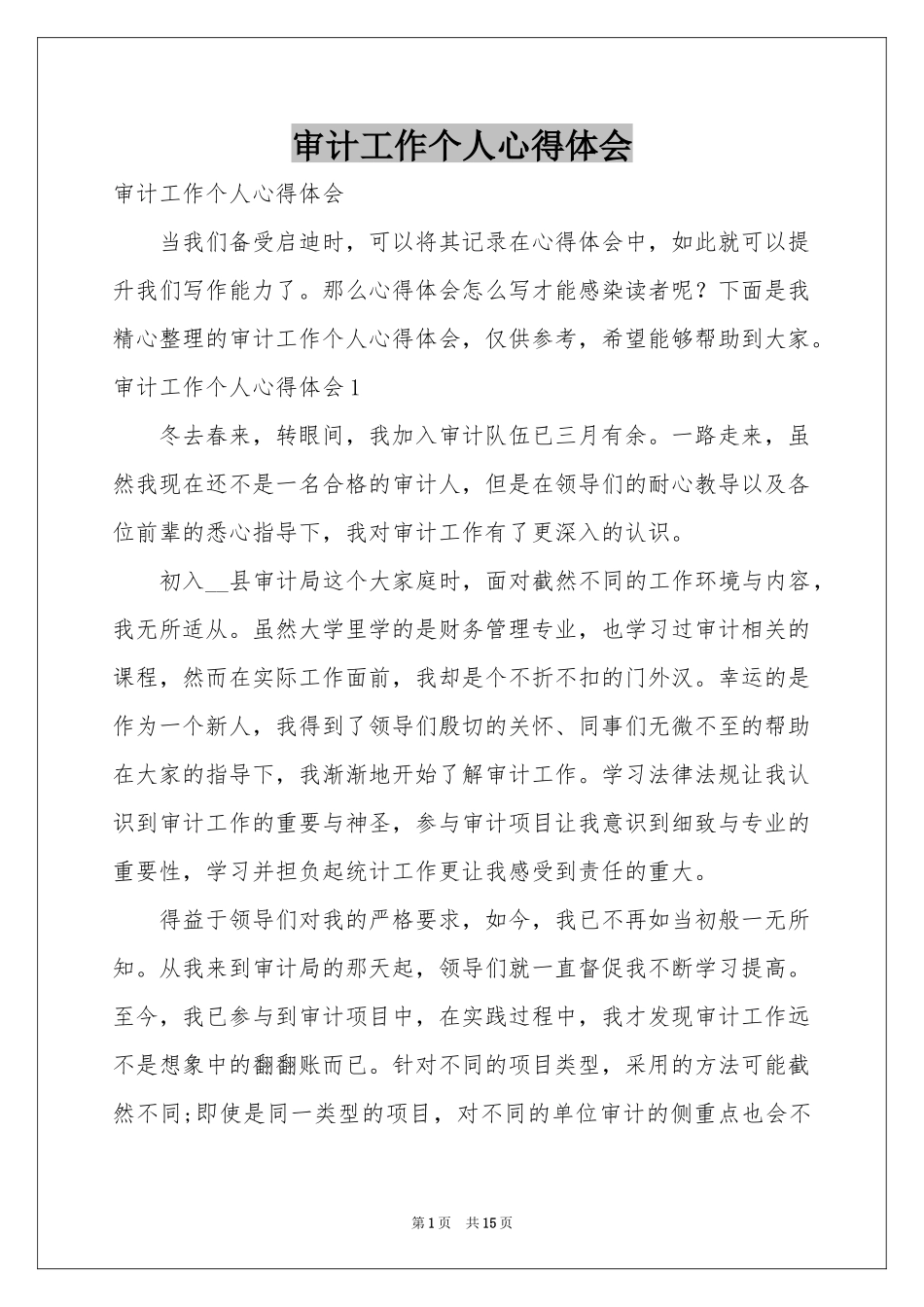 审计工作个人体会心得_第1页