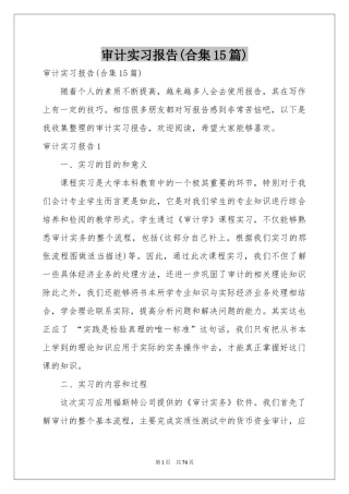 审计实习报告(合集15篇)