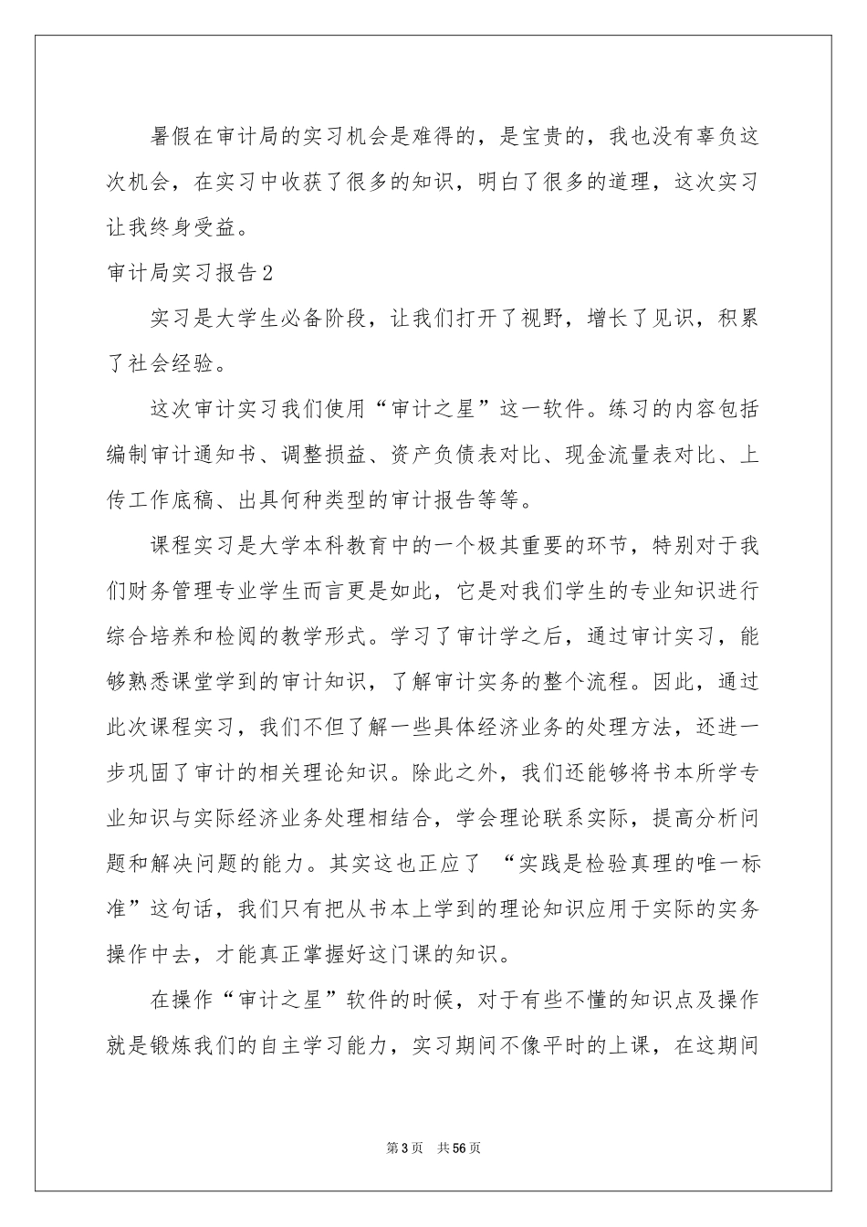 审计局实习报告_第3页