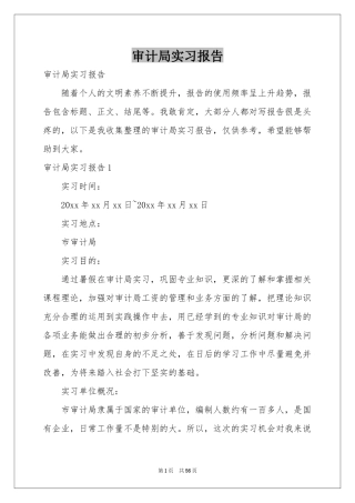 审计局实习报告