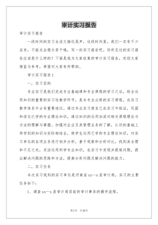 审计实习报告