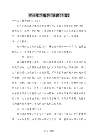 审计实习报告(集锦15篇)