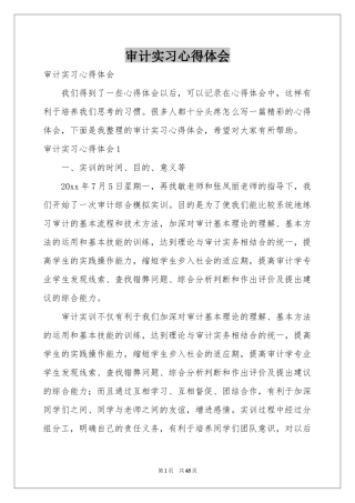 审计实习体会心得