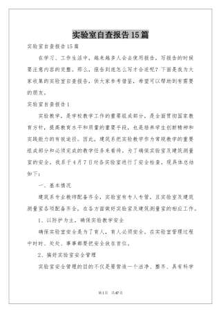 实验室自查报告15篇