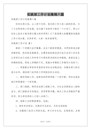 实践部工作参考计划集锦六篇