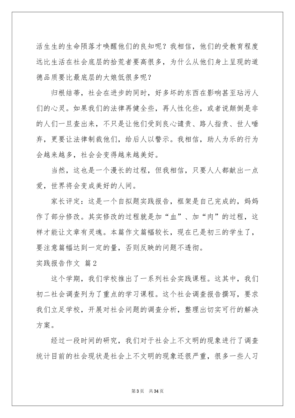 实践报告作文十篇_第3页