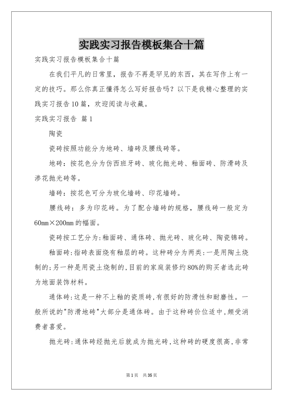 实践实习报告模板集合十篇_第1页