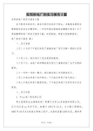 实用的电厂的实习报告3篇