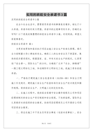 实用的班组安全承诺书3篇