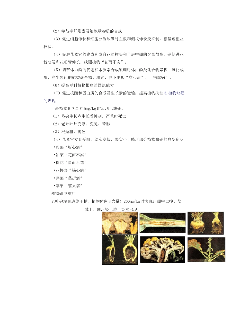 植物基础元素含量汇总_第2页