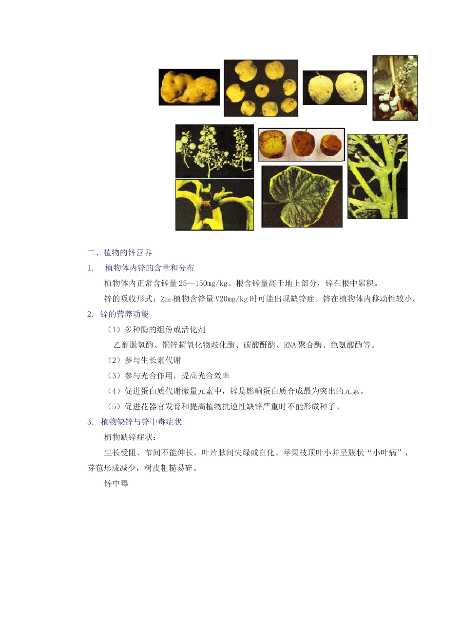 植物基础元素含量汇总_第3页