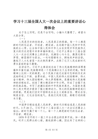 学习十三届全国人大一次会议上的重要讲话心得体会
