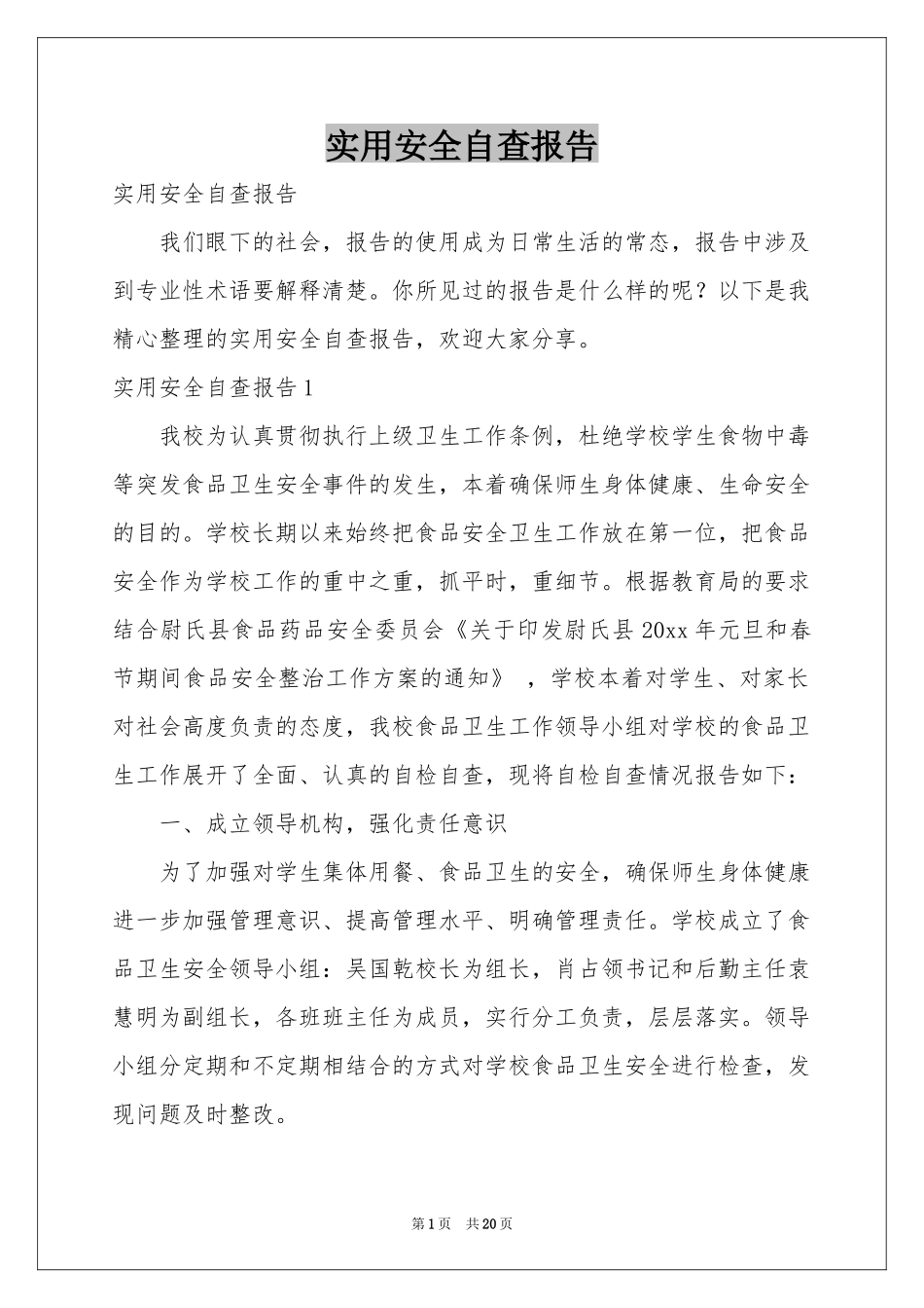 实用安全自查报告_第1页