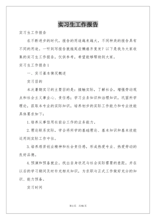 实习生工作报告