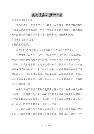 实习生实习报告5篇