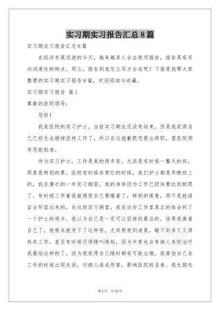 实习期实习报告汇总8篇