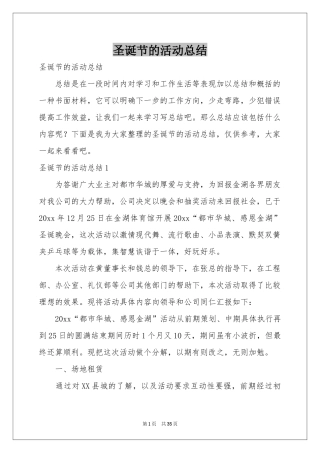 圣诞节的活动参考总结