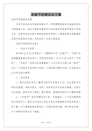 圣诞节促销活动方案