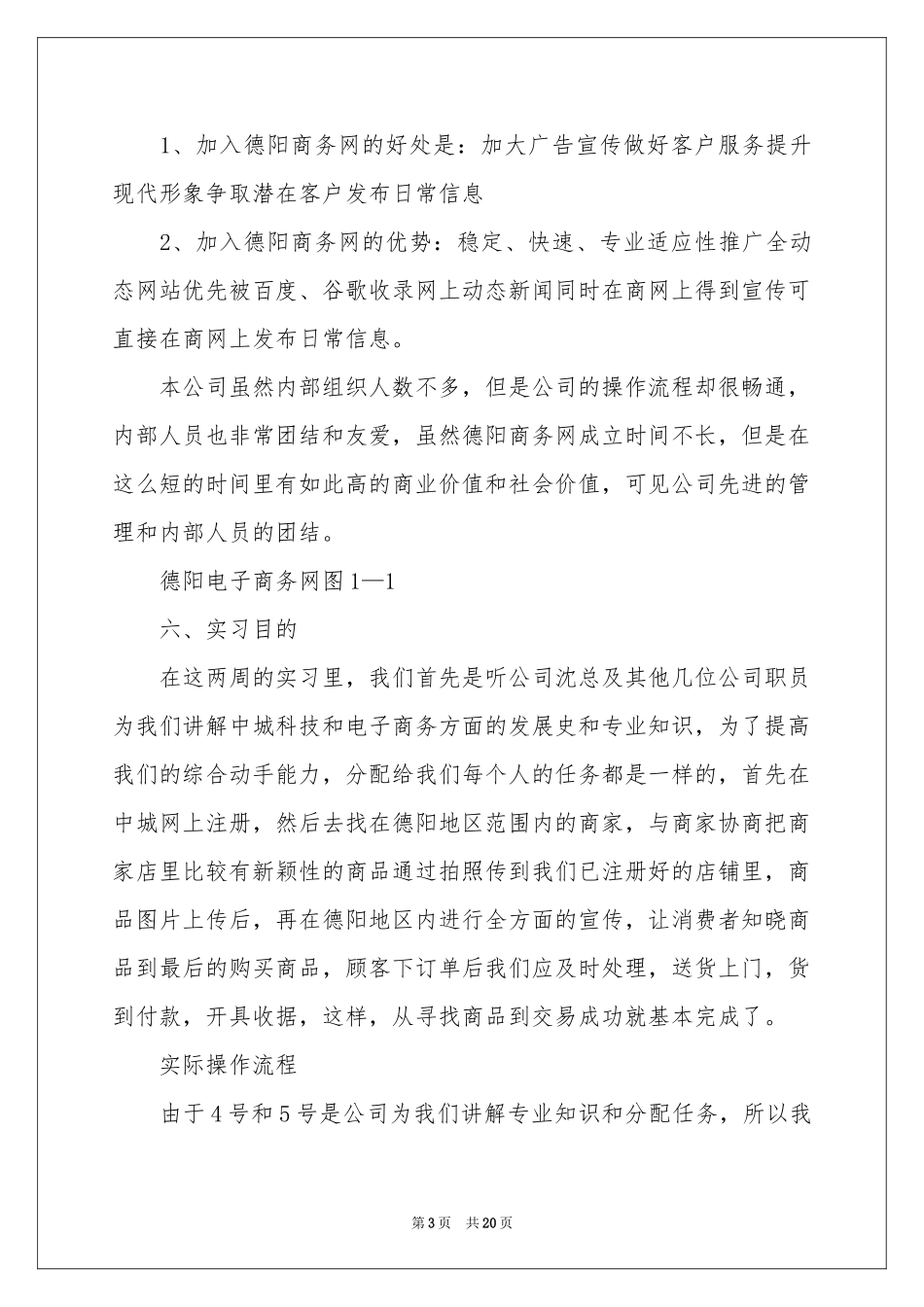 商务类实习报告四篇_第3页