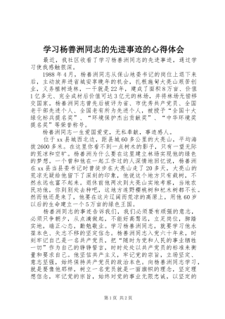 学习杨善洲同志的先进事迹的心得体会