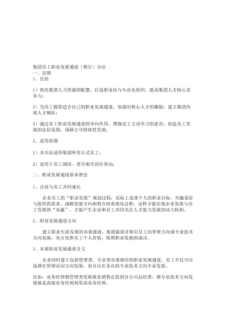 集团员工职业发展通道