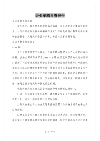 企业车辆自查报告