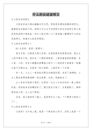 什么的自述说明文