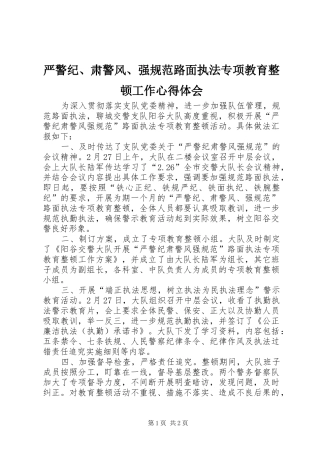 严警纪、肃警风、强规范路面执法专项教育整顿工作心得体会
