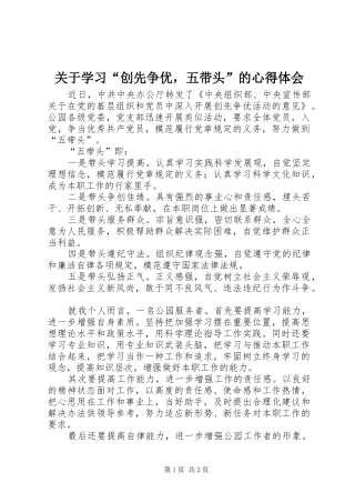 关于学习“创先争优，五带头”的心得体会