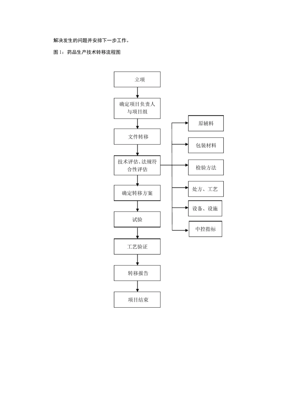 新药生产技术转移流程(1)_第3页