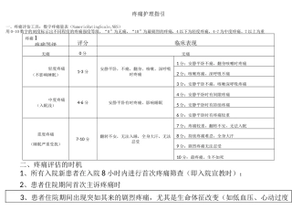 护理各类评分表