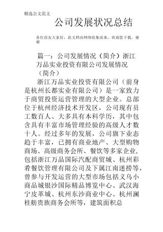 公司发展状况总结
