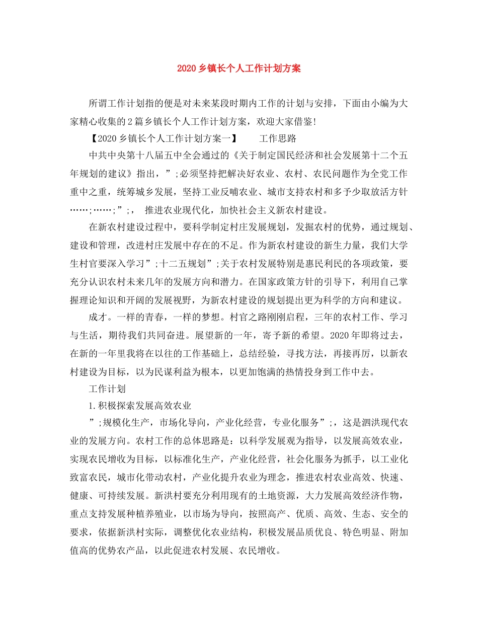 2024乡镇长个人工作计划方案 _第1页
