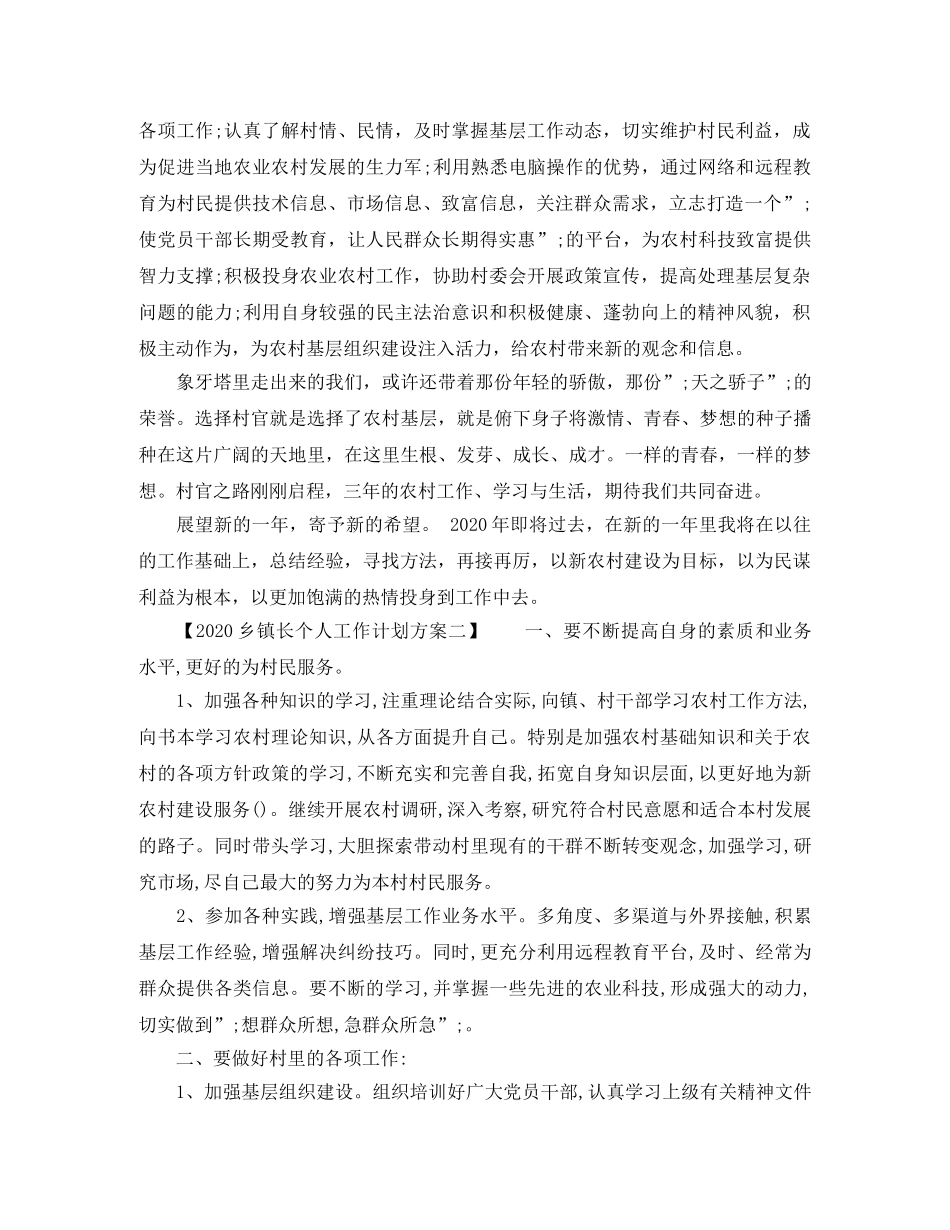 2024乡镇长个人工作计划方案 _第3页