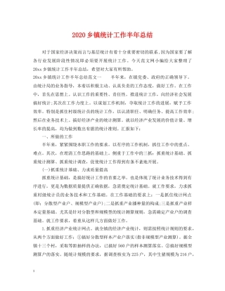 2024乡镇统计工作半年总结2 