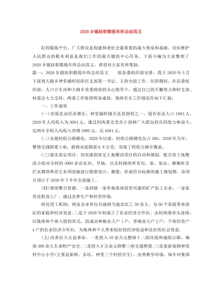 2024乡镇挂职锻炼年终总结范文 