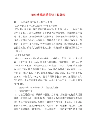 2024乡镇党委书记工作总结(1) 