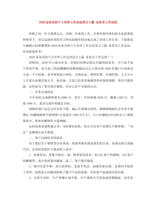 2024业务员的个人年终工作总结范文5篇 业务员工作总结 