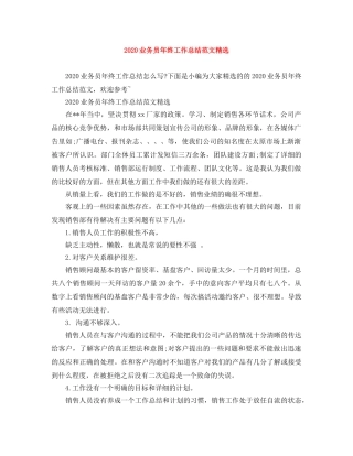 2024业务员年终工作总结范文精选 