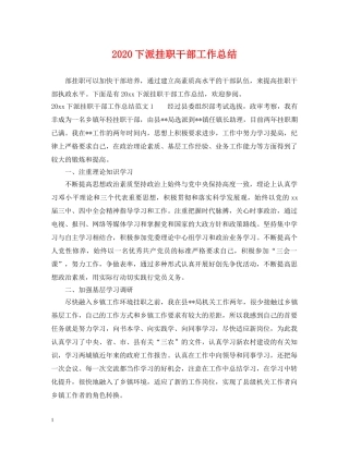 2024下派挂职干部工作总结 