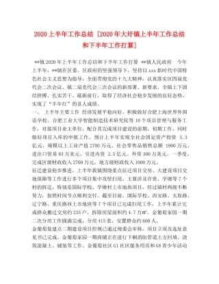 2024上半年工作总结 [2024年大圩镇上半年工作总结和下半年工作打算] 