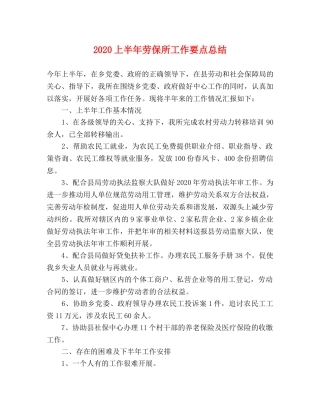 2024上半年劳保所工作要点总结 