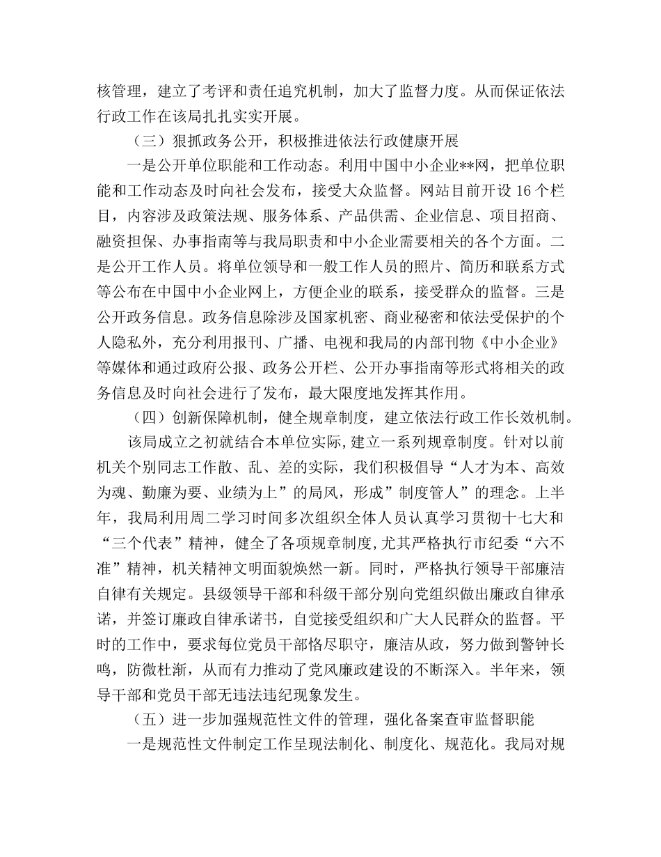 2024上半年中小企业依法行政工作要点总结 _第2页