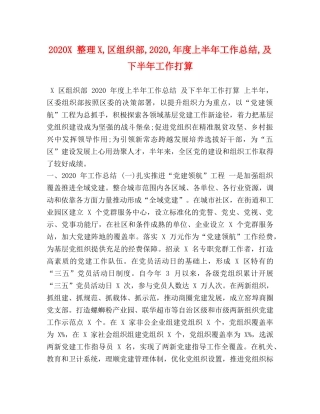 2024X 整理X,区组织部,2024,年度上半年工作总结,及下半年工作打算 