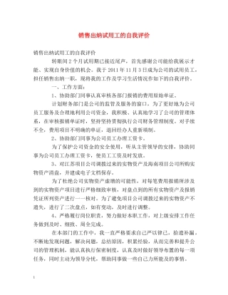 销售出纳试用工的自我评价 