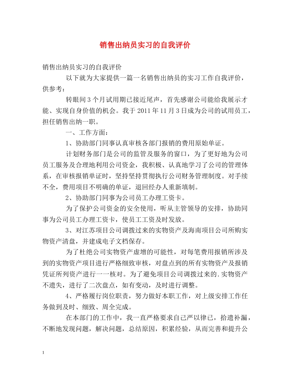 销售出纳员实习的自我评价 _第1页