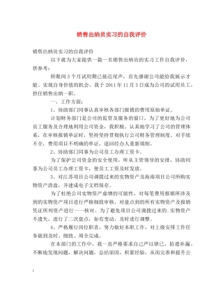 销售出纳员实习的自我评价 