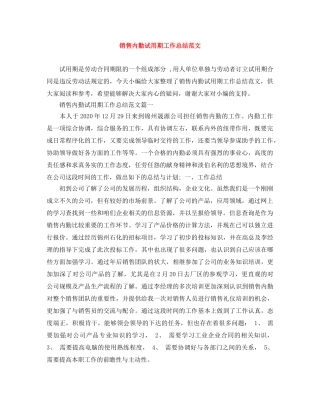 销售内勤试用期工作总结范文 