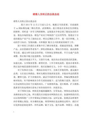 销售人员转正的自我总结 