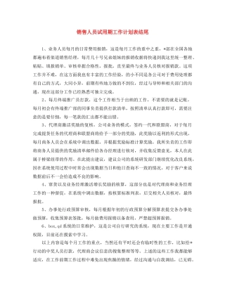 销售人员试用期工作计划表结尾 